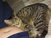 Котэ любит пуз))