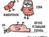 Про меня