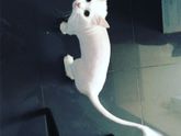 Ура!к весне готовы!😉