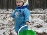 ДСМ. Новогодние заметки и не только
