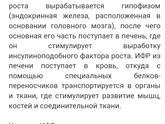 ИФР-1 и соматомедин С