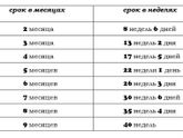 Беременность по месяцам