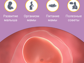 7 недель? о_О