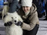 Любите собачек?))