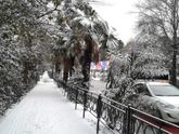 31.01.2017 Снег в Сочи