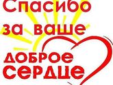 "Добрый пес-8" 13 ноября БИЙСК Информация Свежие новости