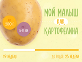 Картоффка наш(а)?