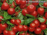 Помидорки на окошке
