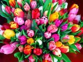 Ура нам 9:-):-):-):-):-):-)
