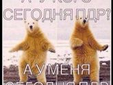 Сегодня ПДР