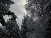 Прогулка!