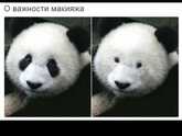 О важности макияжа