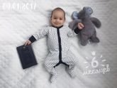 6 месяцев
