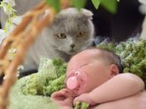 😻