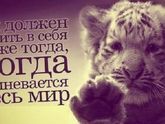 РОО "Федерация подводного спорта