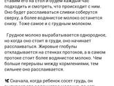 Переднее и заднее молоко