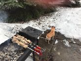Шашлычки, выходные!!!