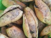 Мои вкусняшки!