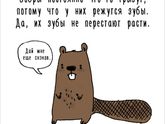 Мимиметры AdMe.ru Художница придумала самый милый способ рассказать интересные факты о животных
