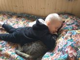 Котики нежности