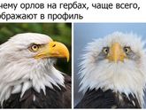 минутка юмора