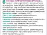 Шпаргалки!