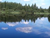 Самые рёхнутые планы!