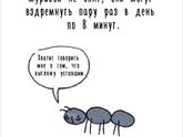 Мимиметры AdMe.ru Художница придумала самый милый способ рассказать интересные факты о животных