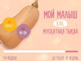 35 неделя пошла