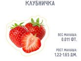 Как же он быстро