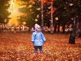 Фото из осенней фотосессии (02 октября 2016)