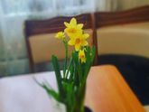 Подарочки)))