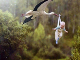 Роды