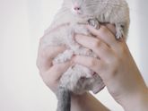 Мой Боничка)