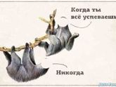 Кому знакомо?