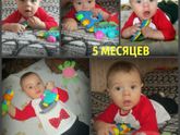 5 месяцев