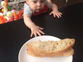 Прикорм