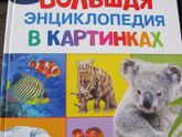 развивающие книги, энциклопедии...