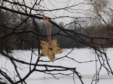 Зерновые кормушкидля птиц.