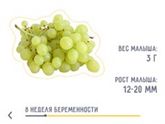 Результат УЗИ