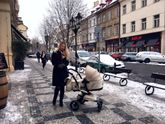 Распорядок дня