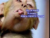 С наступающим Новым годом!!!