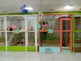 Контактный зоопарк