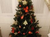 Новый год и Ёлка 🎄