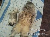 ?Доброго всем дня и прекрасного Рождества?