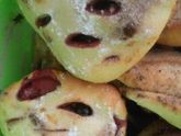 Мои вкусняшки!