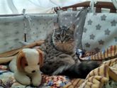 У кого такое было?