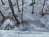 Наконец выпал снежок!!!