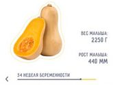 Моя тыковка?моя принцесса растёт