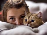 Котейка
